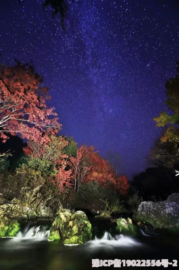 日本一曲二曲三曲高清星辰：探寻夜空中璀璨星河的奥秘与美丽景观